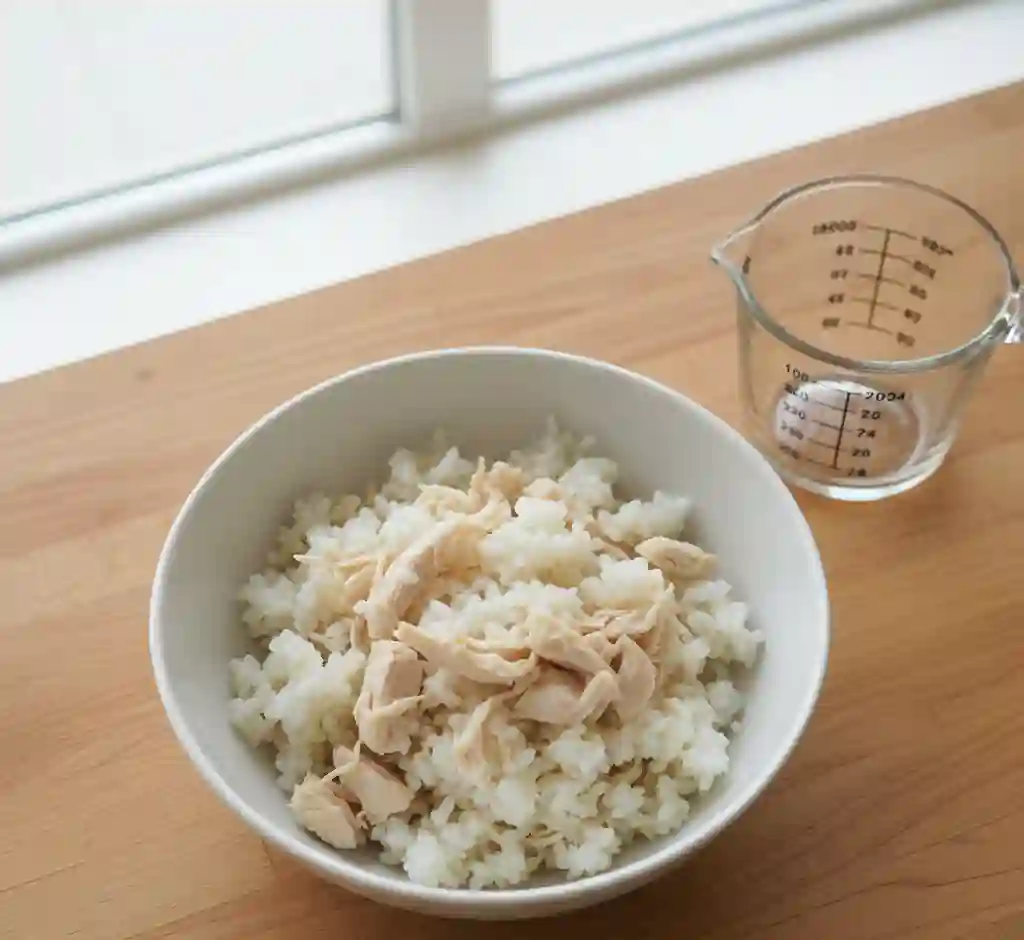 A bowl of homemade boiled chicken and white rice prepared as a bland diet for a dog with an upset stomach.