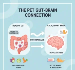 A simplified, cartoon diagram illustrating the connection between a pet's healthy gut and a calm, happy brain (the gut-brain axis)